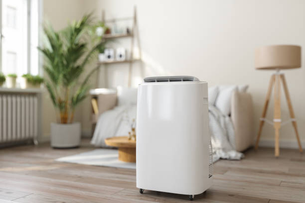 Best Air Conditioning Cleaning in Pine Island, MN